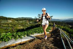 BIB: 
                            <button type="button" onclick="openModal(19115422)" class="btn btn-primary btn-sm float-right btn-popup" data-toggle="modal" data-target=".modal-high-quality">
                        <i class="fas fa-shopping-cart"></i> Add to Cart
                    </button>
                                            <button type="button" onclick="isThisMe(19115422, true)" class="btn btn-success btn-sm float-right btn-popup btn-isme hidden" data-toggle="tooltip" data-placement="bottom" title="นี่คือรูปของคุณใช่ไหม คลิกที่นี่เพื่อเอาเข้าอัลบั้ม">
                        <i class="fas fa-plus"></i> Add to album
                    </button>
                    <button type="button" onclick="isThisMe(19115422, false)" class="btn btn-warning btn-sm float-right btn-popup btn-isnotme hidden">
                        <i class="fas fa-ban"></i> Remove from album
                    </button>